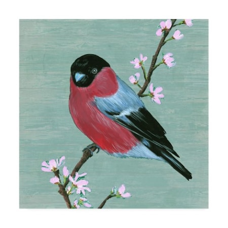 Melissa Wang 'Bird & Blossoms I' Canvas Art,18x18
